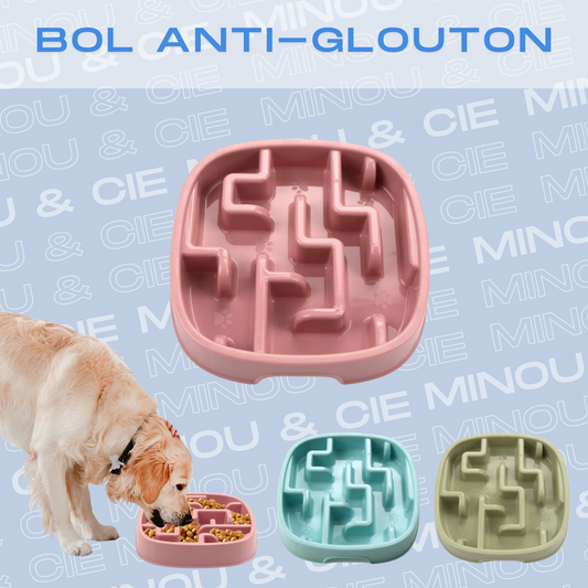 Bol anti-glouton pour chien et chat