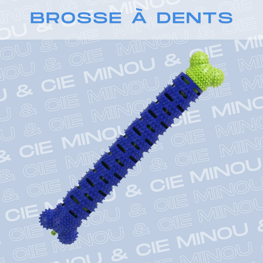 Brosse à dents pour chien