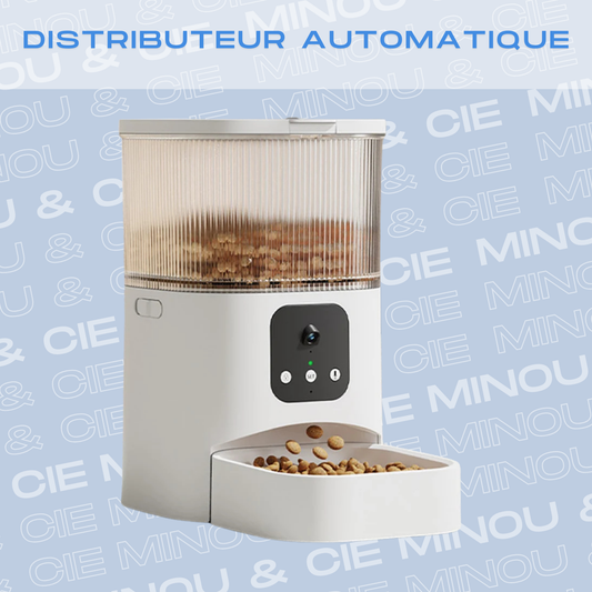 Distributeur Automatique Intelligent