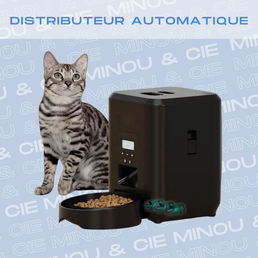 Distributeur de nourriture automatique