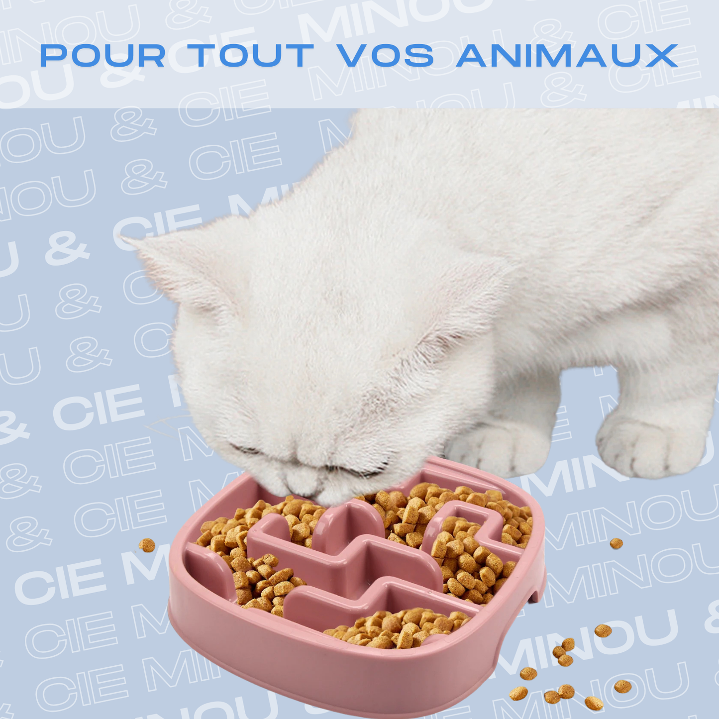 Anti-gluttonous bowl for dogs and cats