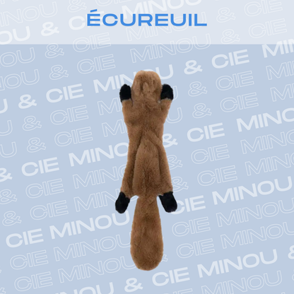 Jouet en peluche pour chien